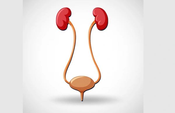 Ureteric Reimplantation