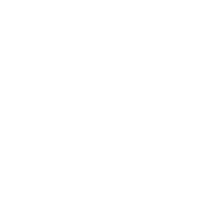Endourology Procedures Performed+