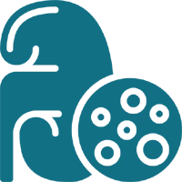 Kidney Stone Care