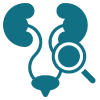 Ureteroscopy